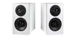Enceintes Bibliothèques Definitive Technology D11 Blanc - La Paire