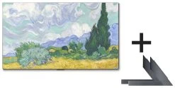 Téléviseurs LG Pack Oled77g1 + Kit Pied An-gxdv77