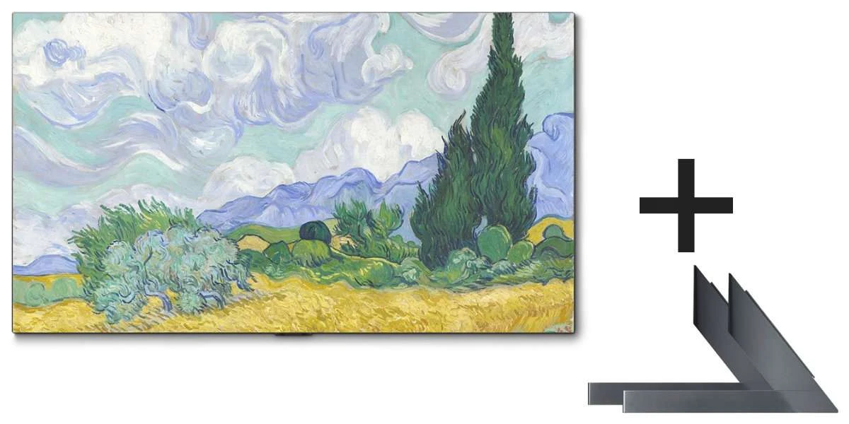 Téléviseurs LG Pack Oled77g1 + Kit Pied An-gxdv77 3 Téléviseurs LG Pack Oled77g1 + Kit Pied An-gxdv77