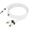 Connectiques Audio Real Cable Moniteur Jack-rca -Boutique FURUTECH real cable moniteur jack rca
