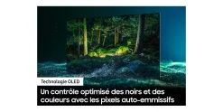 Téléviseurs Samsung Qe55s95b 2022 - Oled 4k - Smart Tv 55'' 17 Téléviseurs Samsung Qe55s95b 2022 - Oled 4k - Smart Tv 55'' -Boutique FURUTECH samsung qe55s95batxxc 3