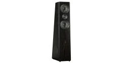 Enceintes Colonnes SVS Ultra Tower Noir - Prix Unitaire