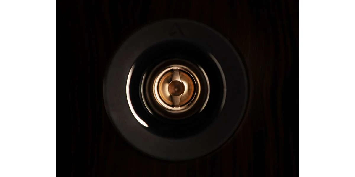 Enceintes Bibliothèques Triangle Anniversaire 40th Comète Palissandre De Santos - La Paire - Modèle De Présentation 7 Enceintes Bibliothèques Triangle Anniversaire 40th Comète Palissandre De Santos - La Paire - Modèle De Présentation – Image 5