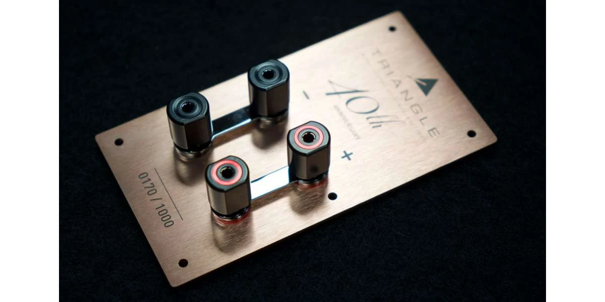 Enceintes Bibliothèques Triangle Anniversaire 40th Comète Palissandre De Santos - La Paire - Modèle De Présentation 9 Enceintes Bibliothèques Triangle Anniversaire 40th Comète Palissandre De Santos - La Paire - Modèle De Présentation – Image 7