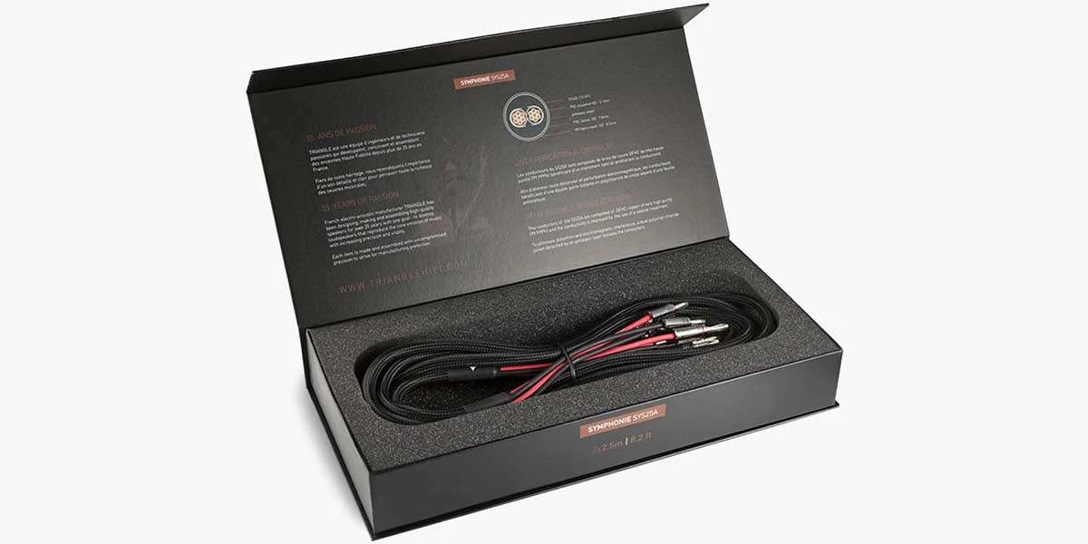 Connectiques Audio Triangle Symphonie Sys30a 4 Connectiques Audio Triangle Symphonie Sys30a – Image 2