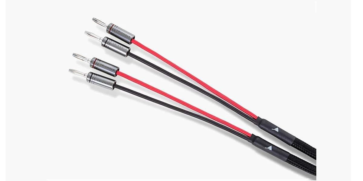 Connectiques Audio Triangle Symphonie Sys30a 3 Connectiques Audio Triangle Symphonie Sys30a